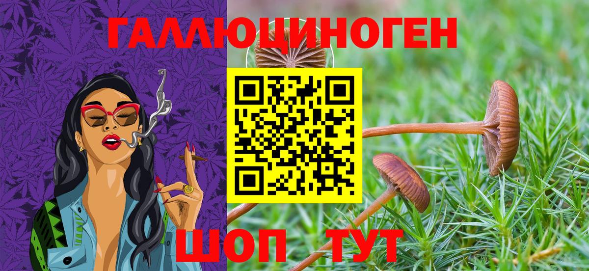 Галлюциногенные грибы GOLDEN TEACHER Дербент